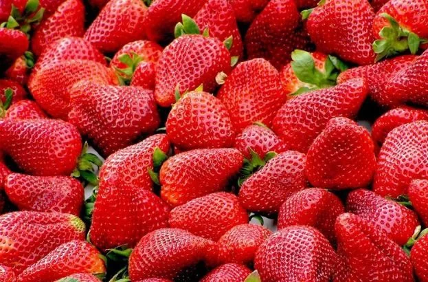 Festa das Flores e do Morango em Atibaia